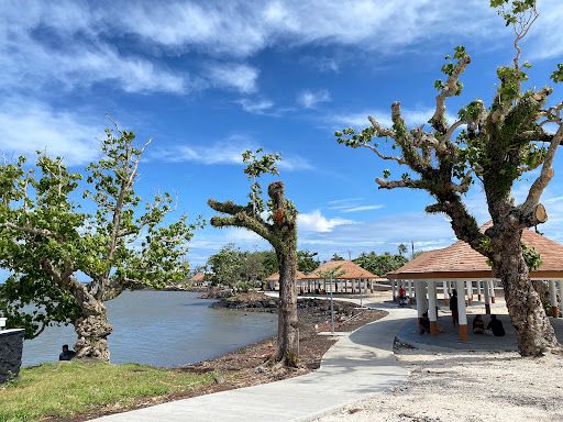 Lions Park
