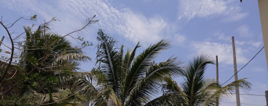 San Alejo Park