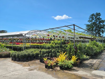 Jardín Las Gardenias