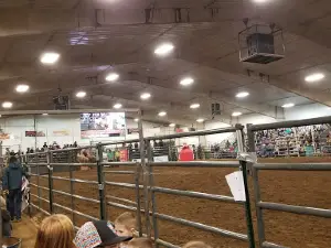 R & J Arena
