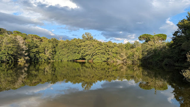 Pantà de Can Cabanyes
