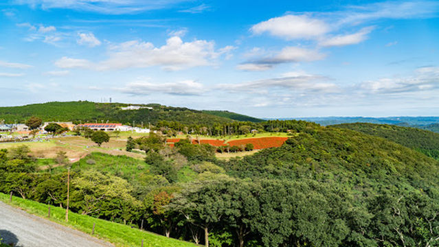 Mother Bokujo Auto Camping Ground