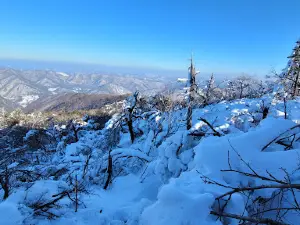 Balwangsan Cable Car