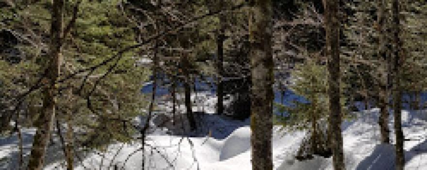 Ruisseau du Vernon