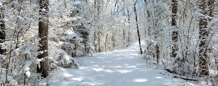 Scuppernong Trailhead