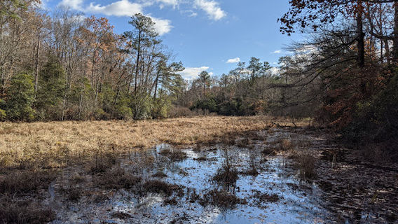 Baylor Park Nature Trail