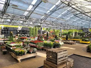 Pflanzen-Kölle garden center