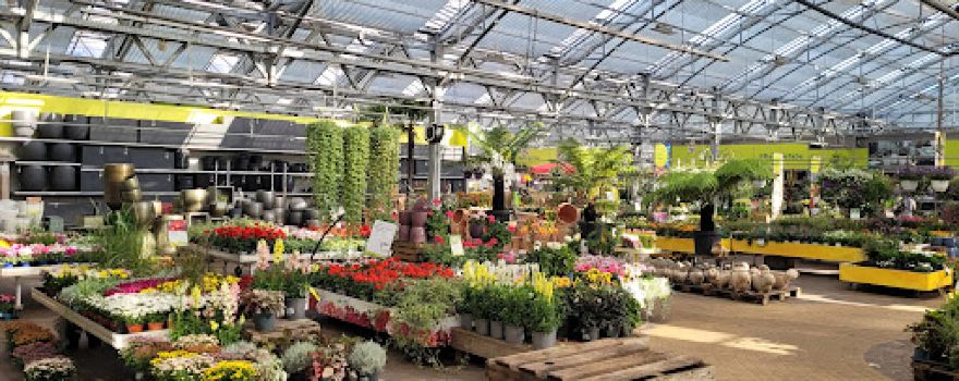 Pflanzen-Kölle garden center