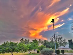 Faridia Park فریدیہ پارک