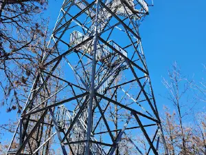 Nebraska National Forest
