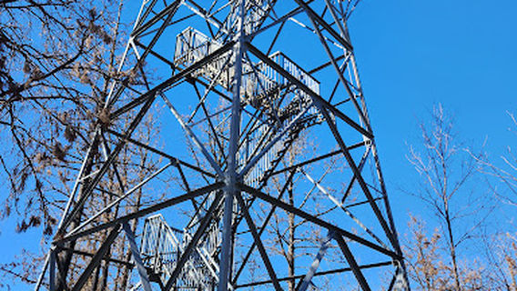 Nebraska National Forest