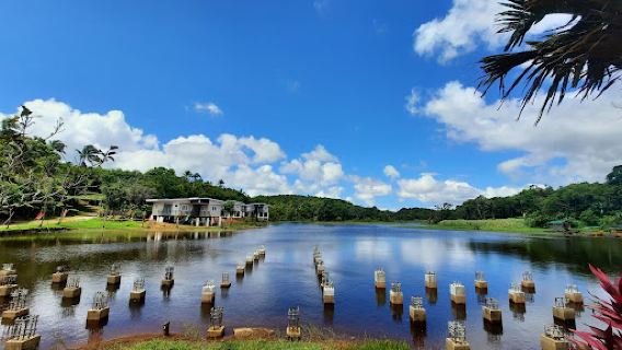 U.P. Laguna Quezon Land Grant