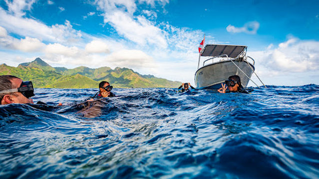 Moorea Fun Dive