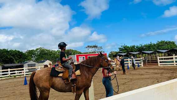Healing Horses Kauai