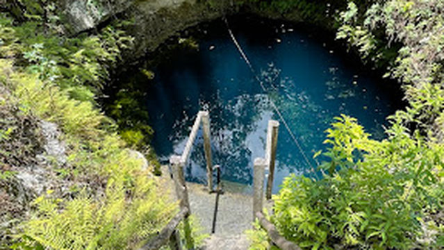 Cenote Freediving Tulum