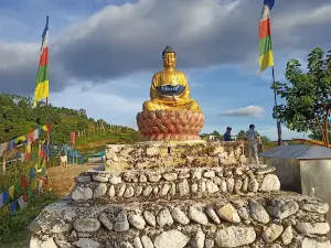 Jaigaon View Point