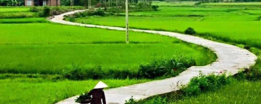 Ngoc village cultural houses Check