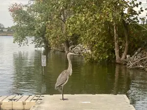 Eastwood MetroPark