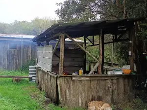 Caviahue Chiloé