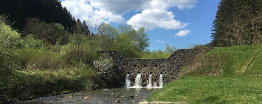 Stavnica Papradno