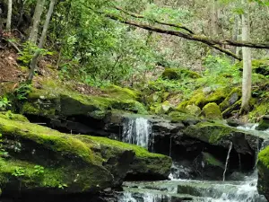 Pipestem Falls Park