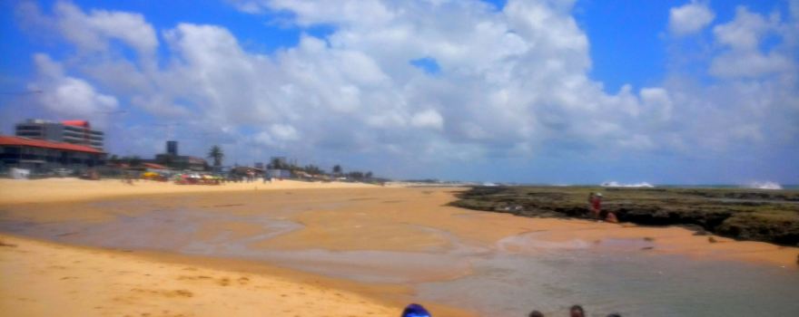 Fort's Beach