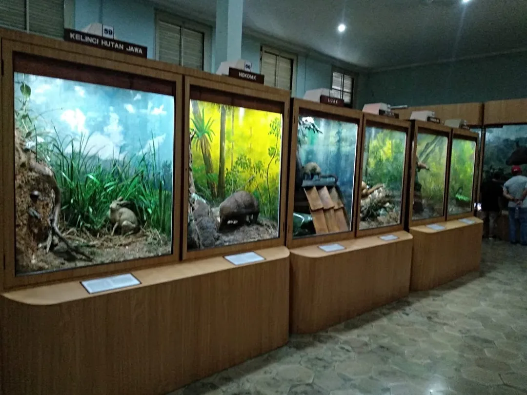 2_Museum of Zoology (Museum Zoologicum Bogoriense)