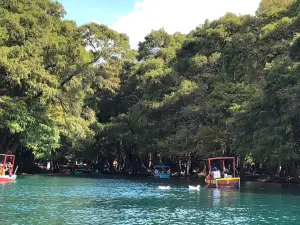 Parque Nacional Lago de Camecuaro
