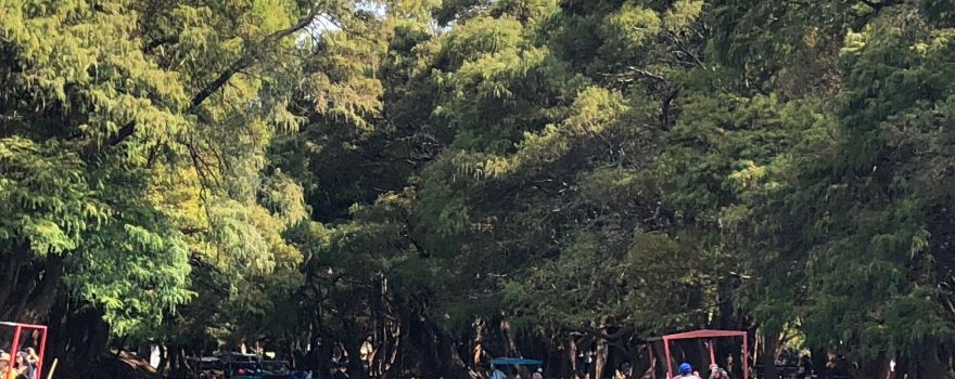 Parque Nacional Lago de Camecuaro