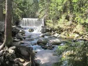 The Wild Waterfall