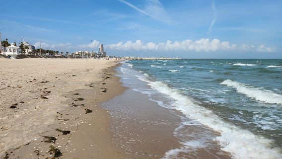 Corpus Christi