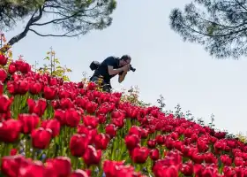 Parco Giardino Sigurta