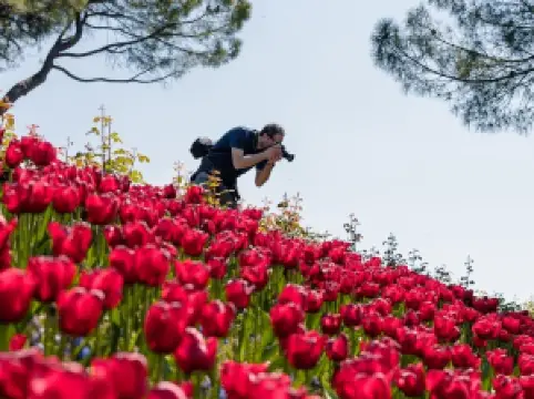 Parco Giardino Sigurta