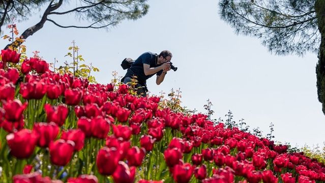 西古爾塔別墅花園