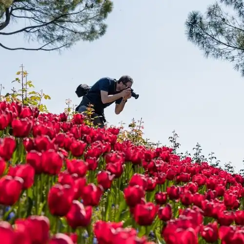 西古爾塔別墅花園