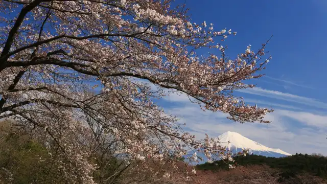 Iwamoto Mountain Park