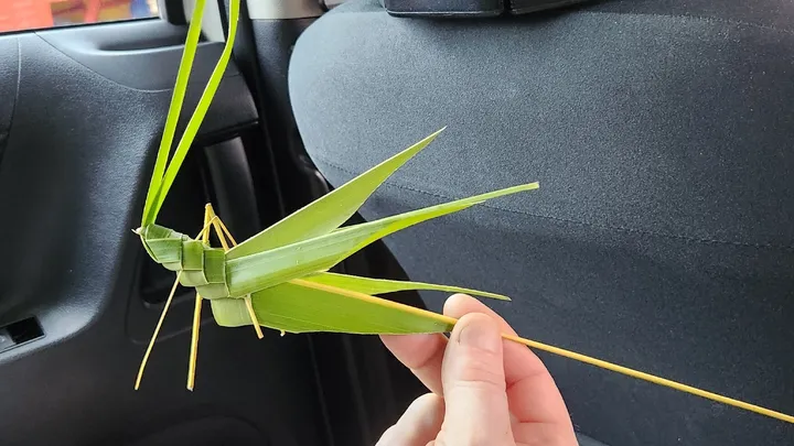 4_Agro Technology Park MARDI Cameron Highlands