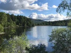 Queen Elizabeth Forest Park
