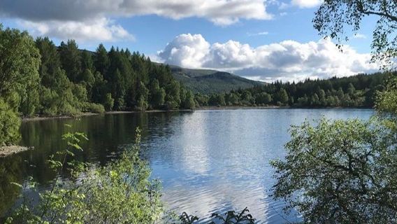 Queen Elizabeth Forest Park