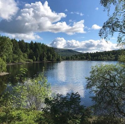 Queen Elizabeth Forest Park