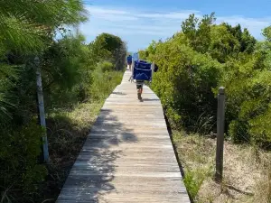 Kiawah Beachwalker Park
