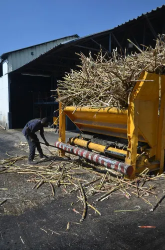 Barbancourt Rum Distillery