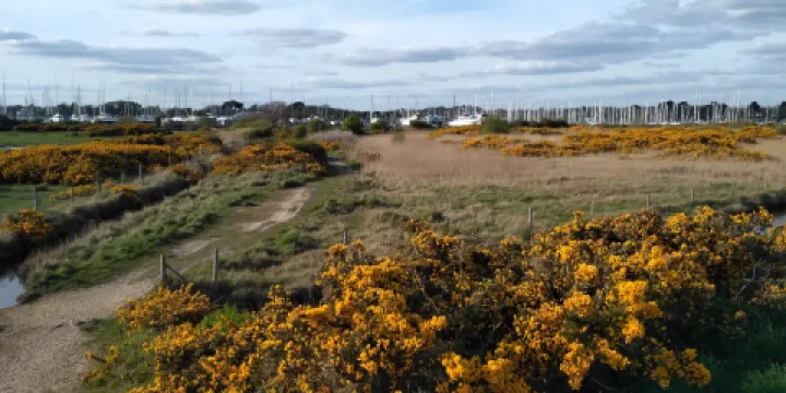 The Solent Way Walk