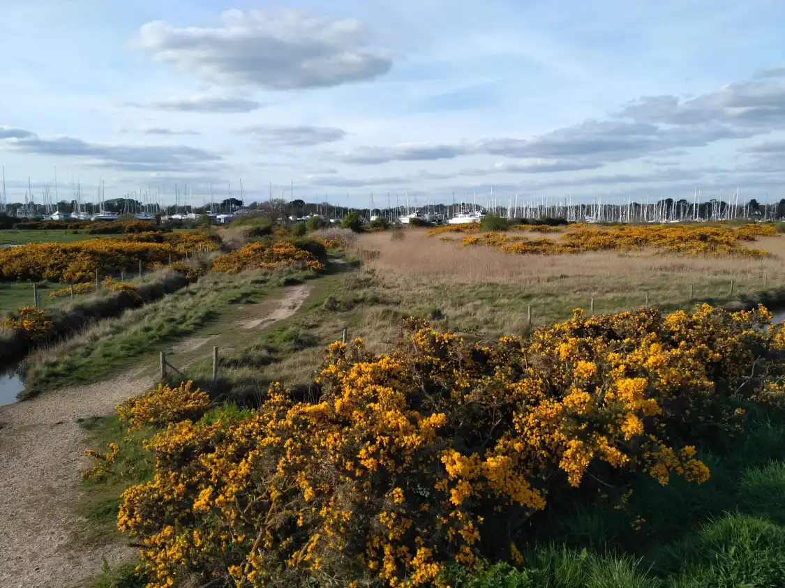 Hotels near The Solent Way Walk