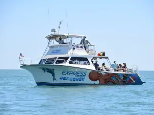 Express Watersports Rentals , Sailings, Cruises & Scuba