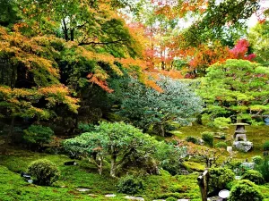 Kyu Chikurinin Garden