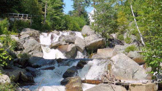 Jackson Falls