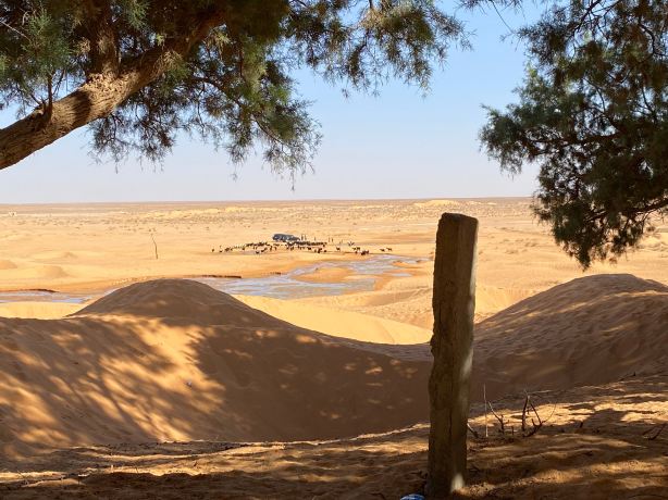Ksar Ghilane