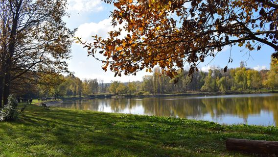 Alexandru Ciubotaru National Botanical Garden