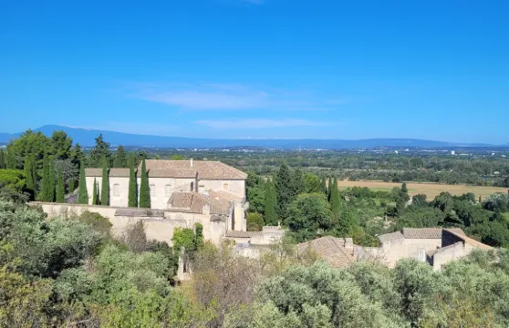 聖安德肋城堡門票成人